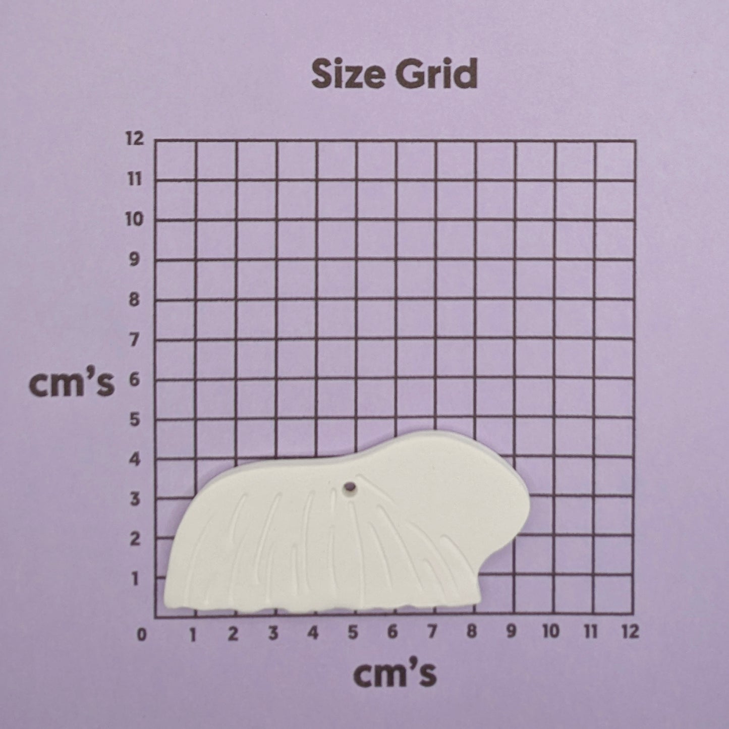 White guinea pig on a size grid with measurements in centimeters on a purple background