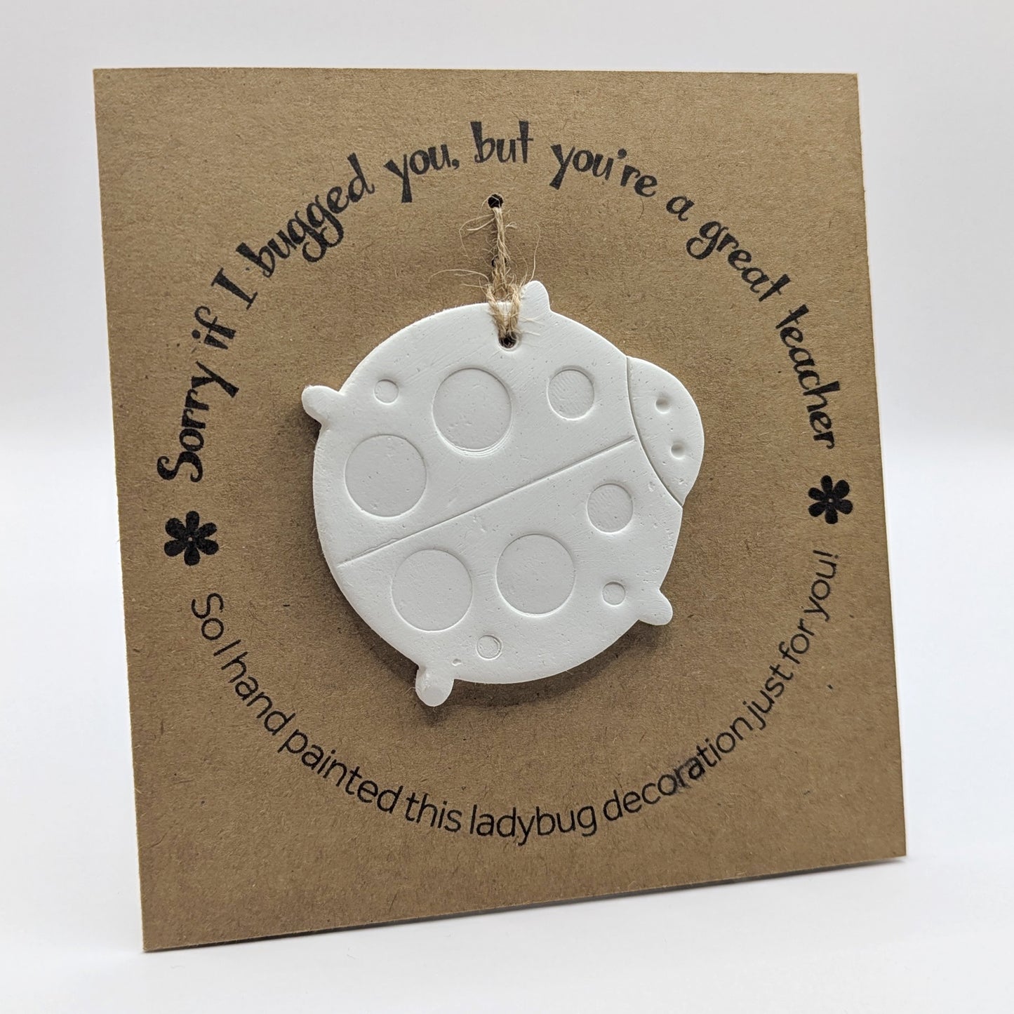 'Sorry if I bugged you, but you're a great teacher' text on a brown kraft card with a clay lady bug decoration attached for you to paint and decorate