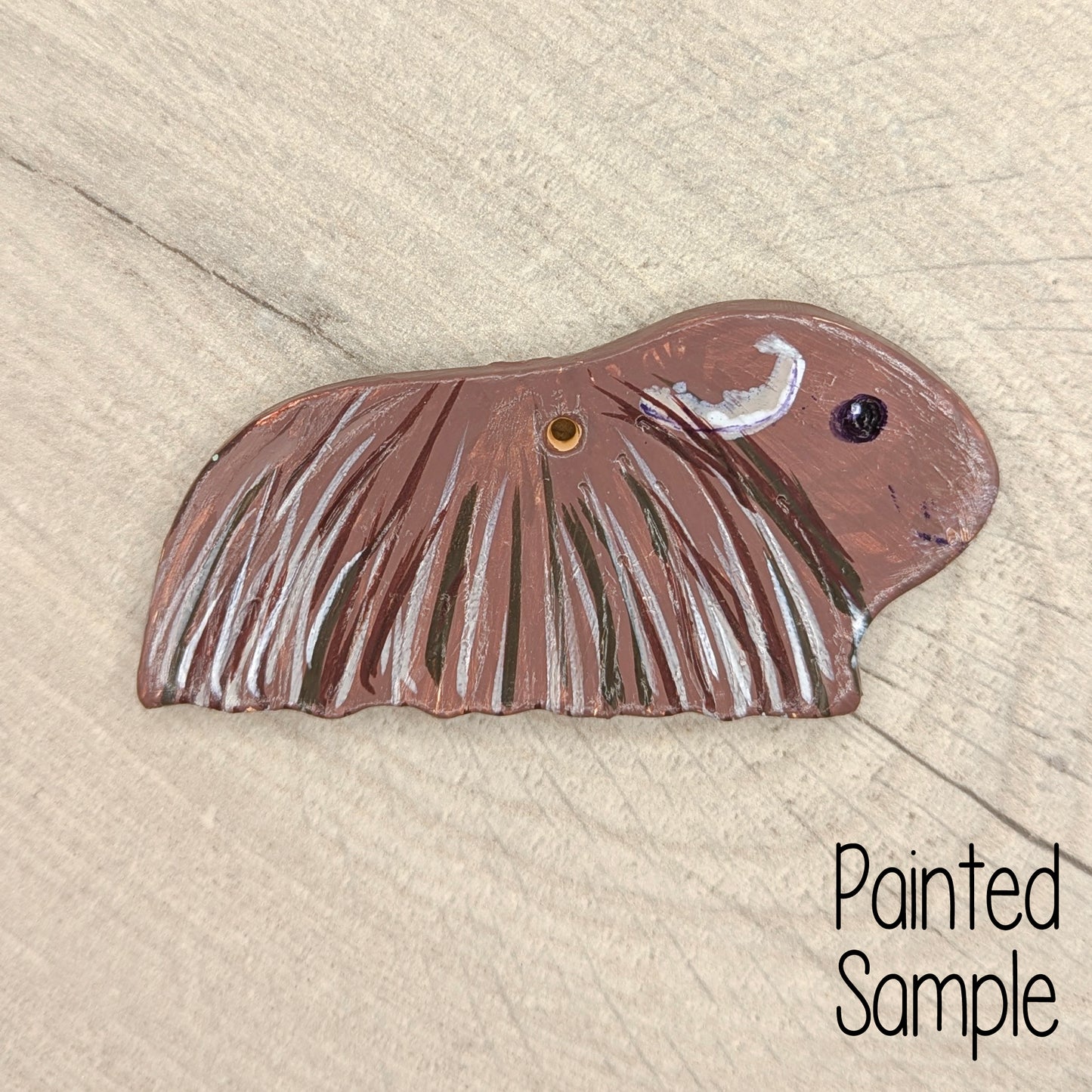 Guinea Pig (Long Coat)