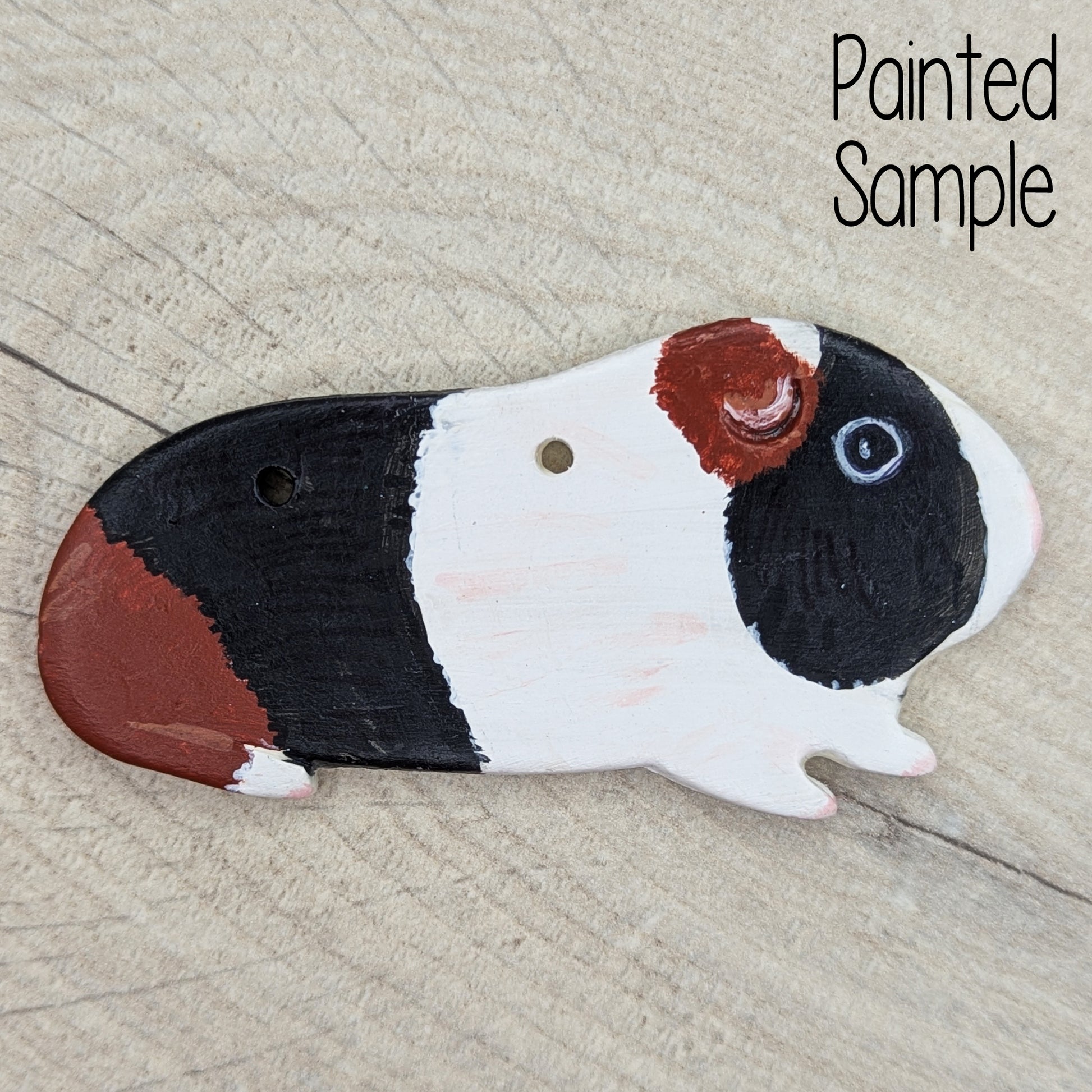 hand painted smooth coat tri colour guinea pig clay decoration