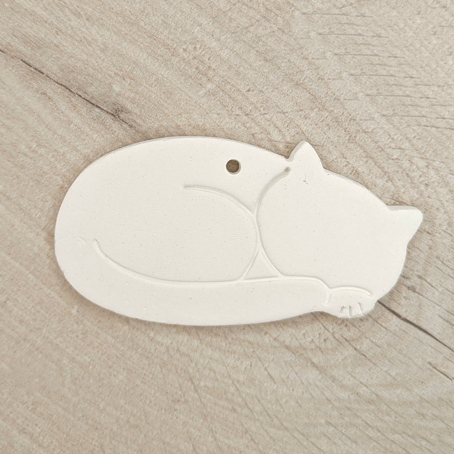 Cat - Sleeping