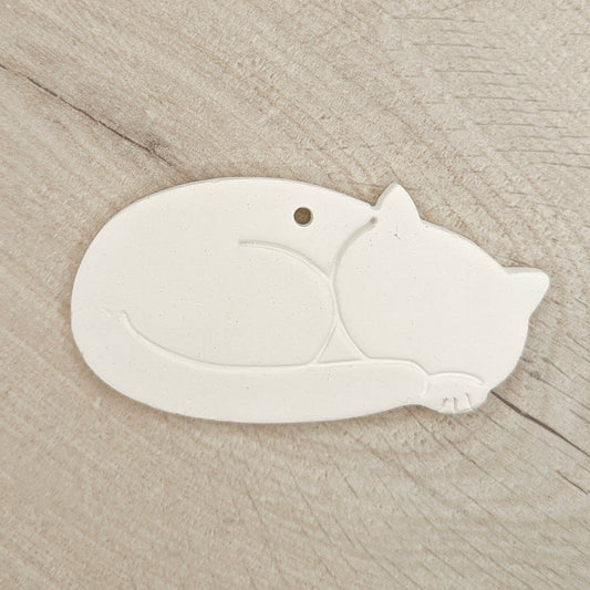 Cat - Sleeping
